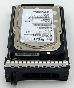 DELL 300 GB 15 K SAS